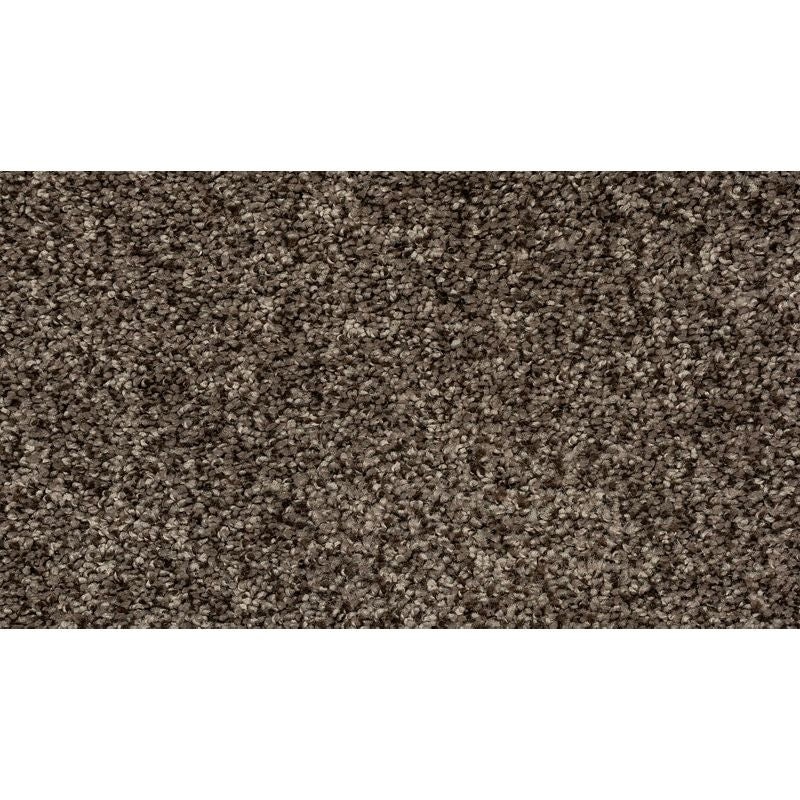 Soft Direction Iii Nomad Polyester Carpet - Textured