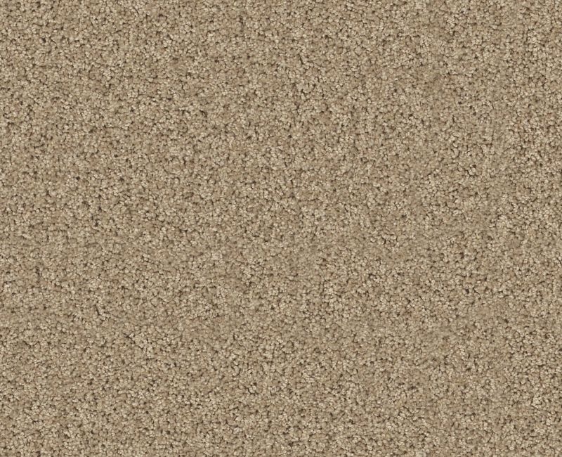 Detailed Elegance Ii Clay Stone Nylon Carpet - Loop