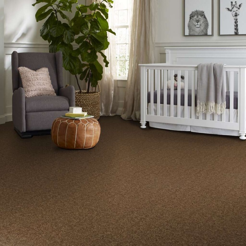 Caress By Shaw Quiet Comfort Classic Ii Tobacco Leaf Nylon Carpet - Textured