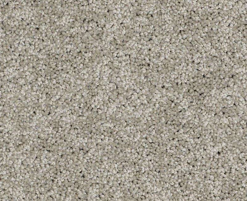 Marlow Ii Mocha Nylon Carpet - Pattern
