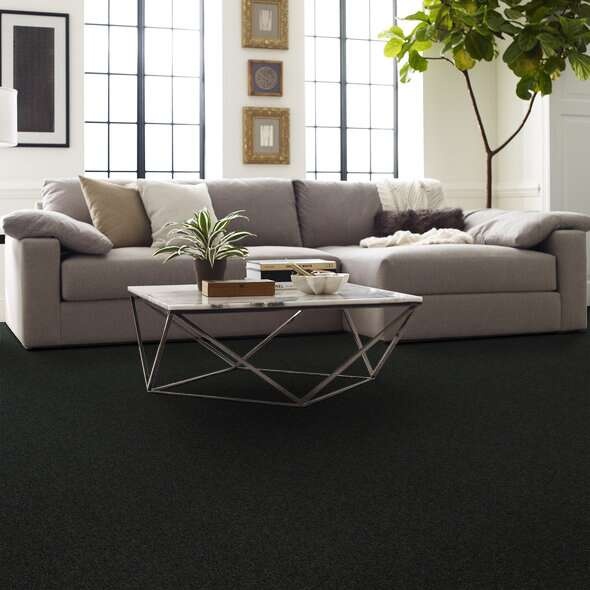 Soft Shades My Choice Ii Peaceful Garden Nylon Carpet - Textured