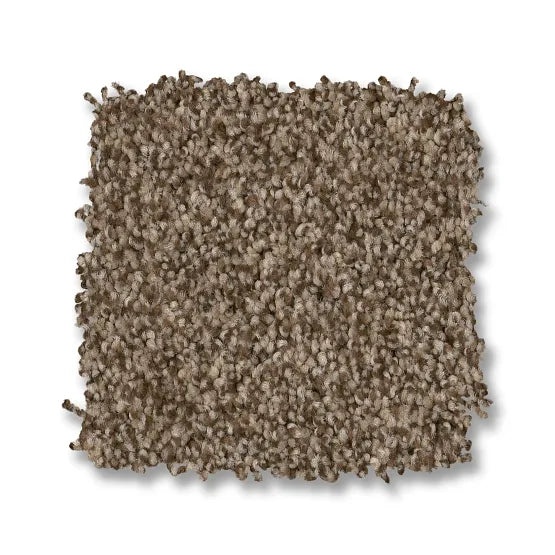 Classics Terra Nova Joshua Tree Nylon Carpet - Textured