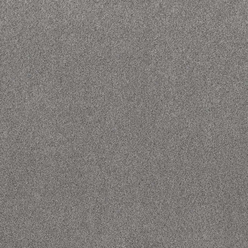 Foundations Live On Comfort Looking Glass Nylon Carpet