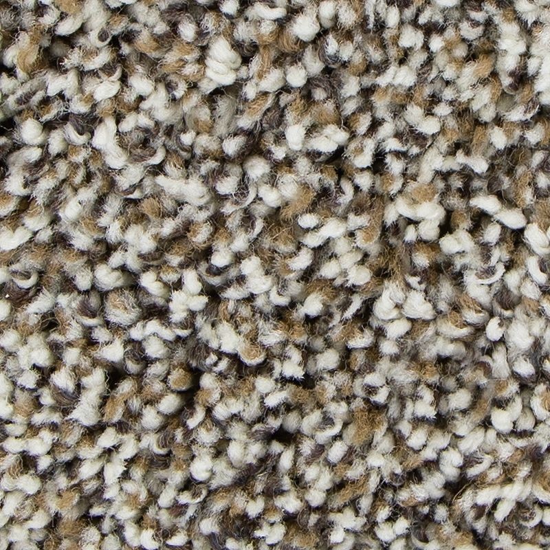Soft Intrigue II Arctic Ivory Polyester Carpet