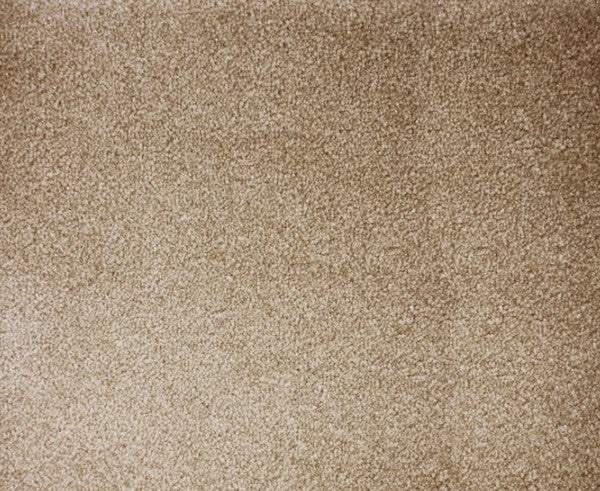 Atelier Marquee Starry Night Sandstone Nylon Blend Carpet - Textured