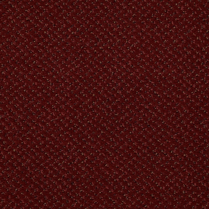Legend Falls Canyon Rim Nylon Carpet - Textured