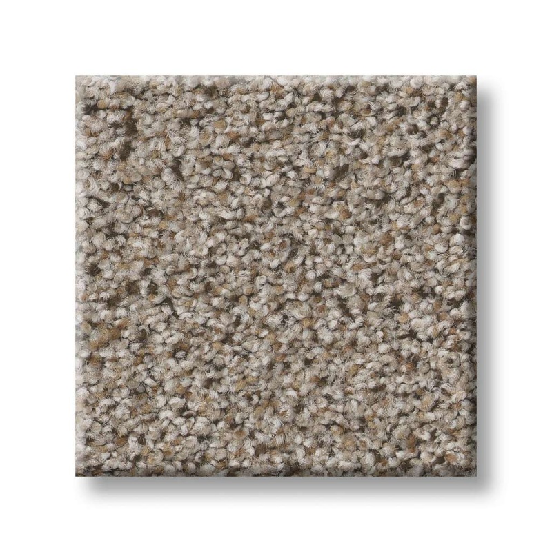 Foundations Elemental Mix I Acreage Nylon Carpet - Textured