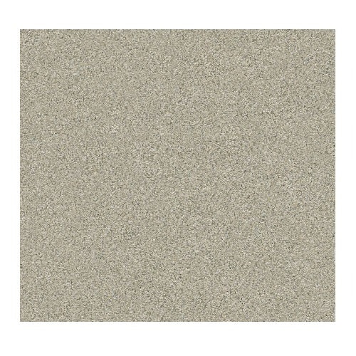 Trancas Spun Wool Polyester Carpet - Textured