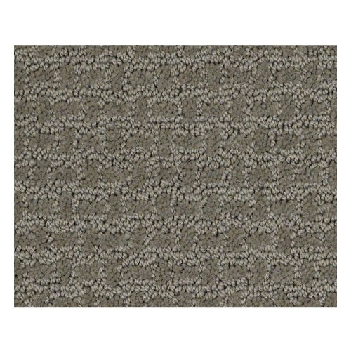 Stimulate The Senses Pewter Nylon Carpet - Pattern