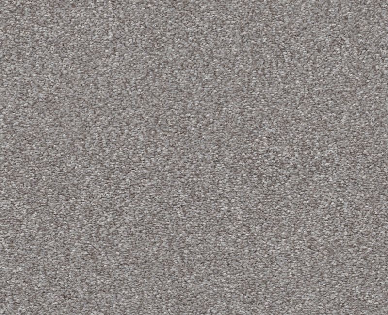 Finders Keepers Sterling Polyester Carpet - Loop