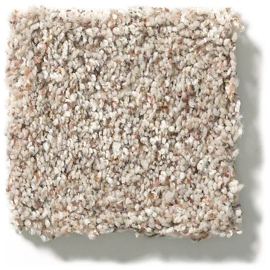Carmel Coast Gray Morn Nylon Carpet - Textured