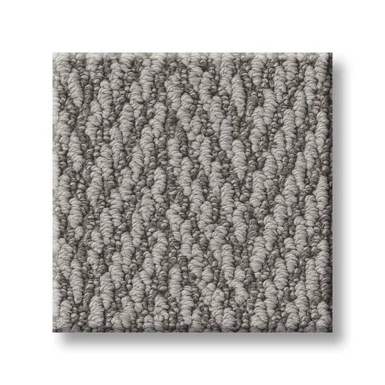 Always Natural Silver Polish Nylon Carpet - Loop