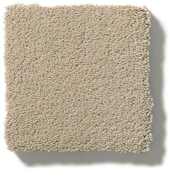 Perfect Choice Pashmina Nylon Carpet - Textured