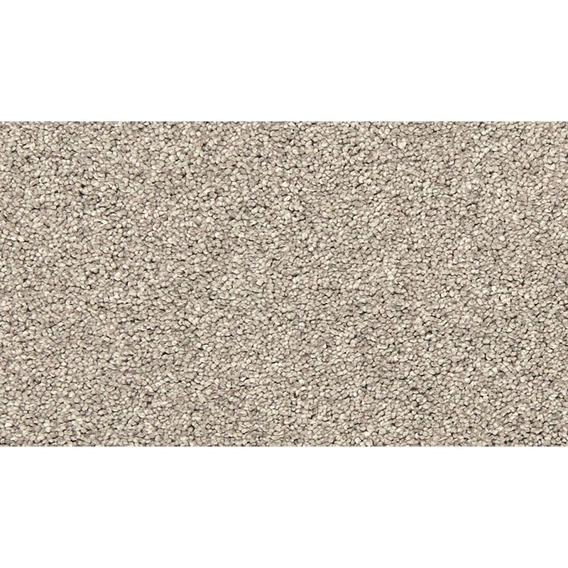 Bold Creation Carbon Dust Polyester Carpet - Textured