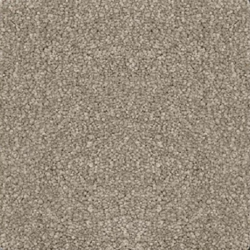 Magic Moment Ii True Gray Polyester Carpet - Textured