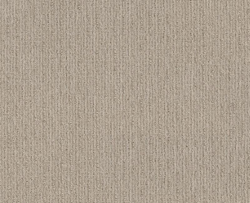 Well Informed Studio Taupe Nylon Carpet - Textured