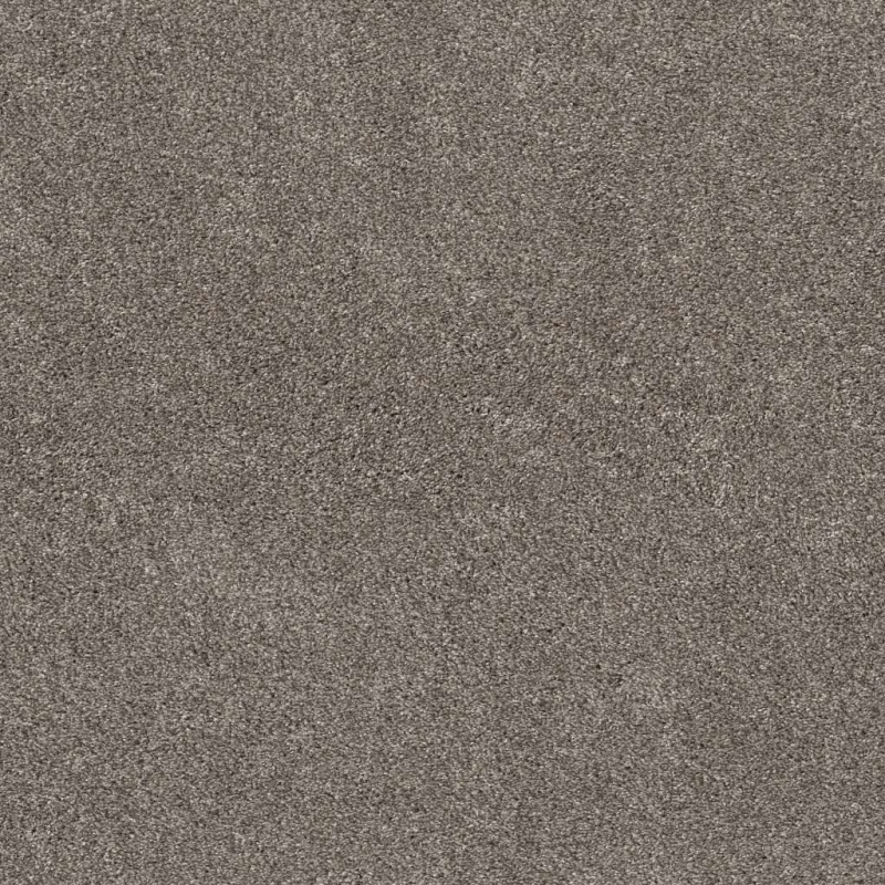 Pet Perfect Plus Calm Simplicity I Desert View Polyester Carpet