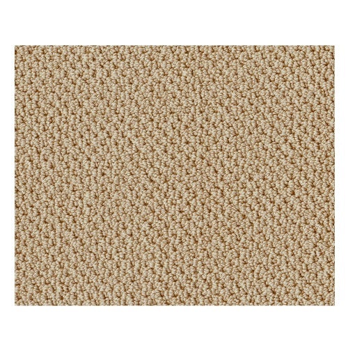 Truly Tranquil Loop Mesa Nylon Carpet - Loop