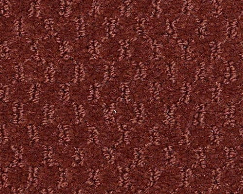 Latest Trend Santa Fe Red Nylon Carpet - Pattern
