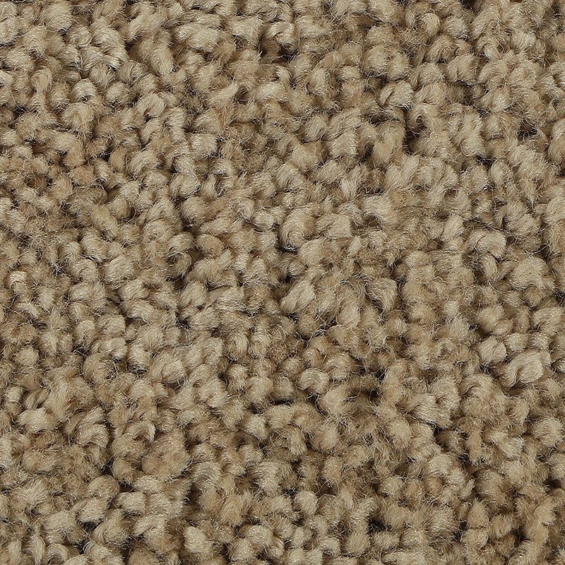 Soft Outlook Warm Sky Polyester Carpet - Textured