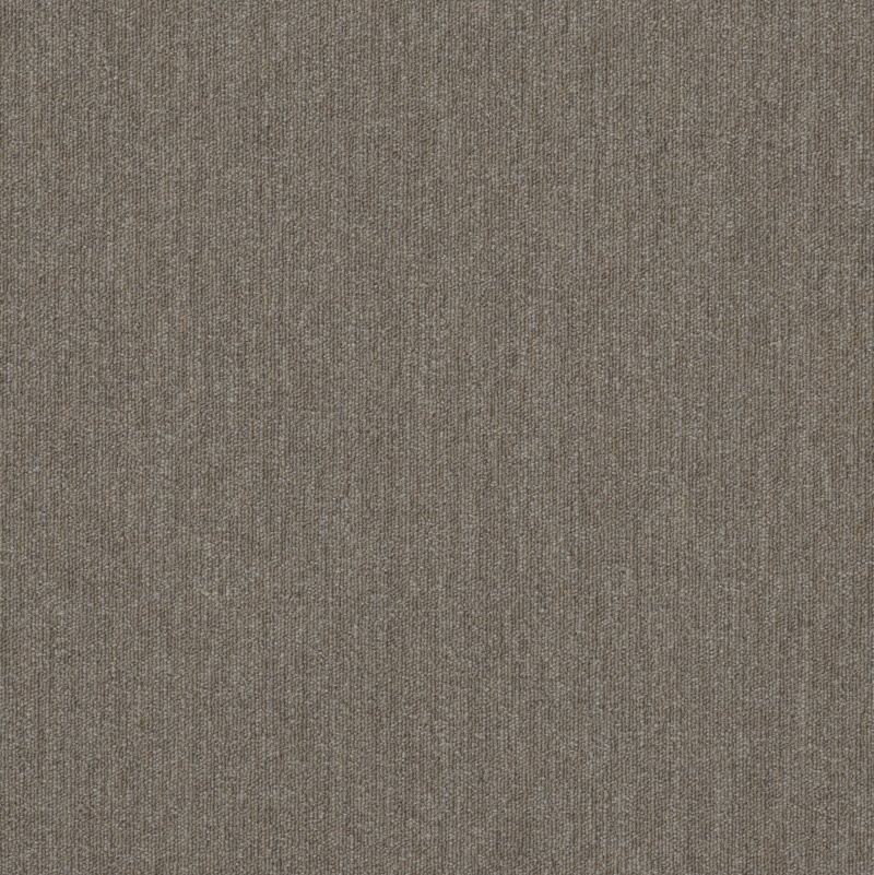 Fifth & Main Beyond Limits Prairie Polyester Carpet Tile - Textured - 24" X 24"