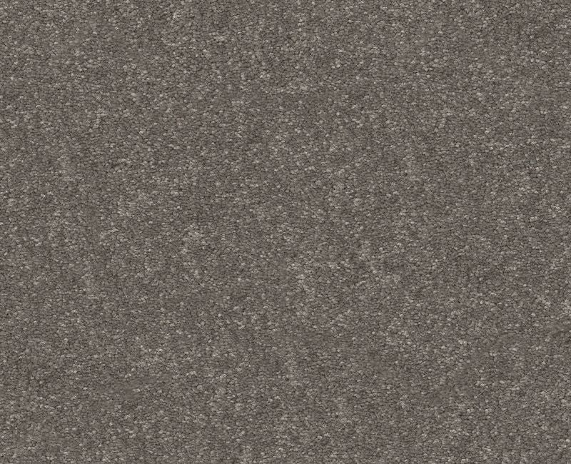 Off The Leash Iii 15 Ashes Polyester Carpet - Loop