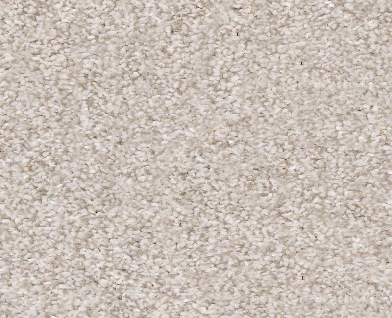 Just Right Ii Desert Light Polyester Carpet - Textured