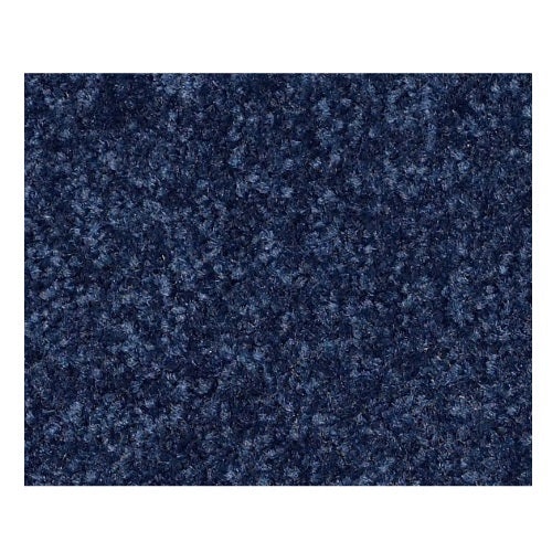 Qs233 I 12' Cadet Nylon Carpet - Textured