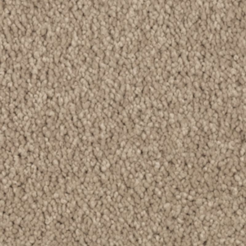 Natural Splendor Ii Hearth Beige Triexta Carpet - Textured