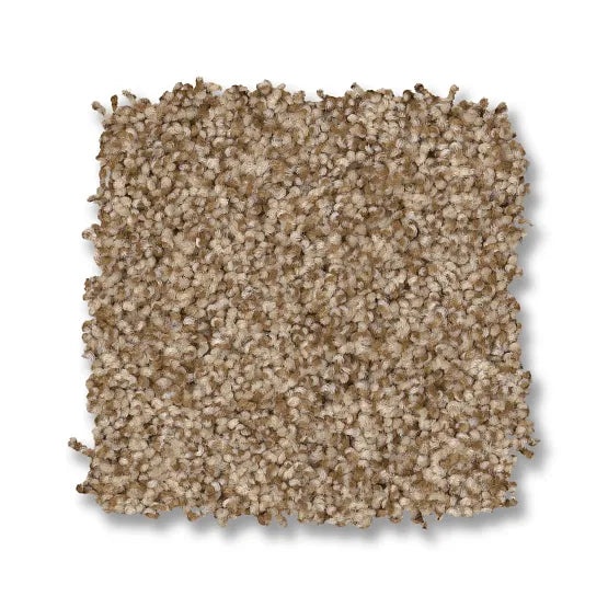 Bossa Nova Hazel Nylon Carpet - Textured