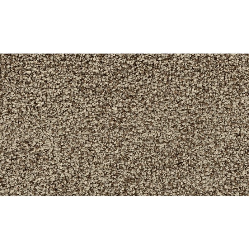 Enchanting Glamour Cypress Nylon Carpet - Textured