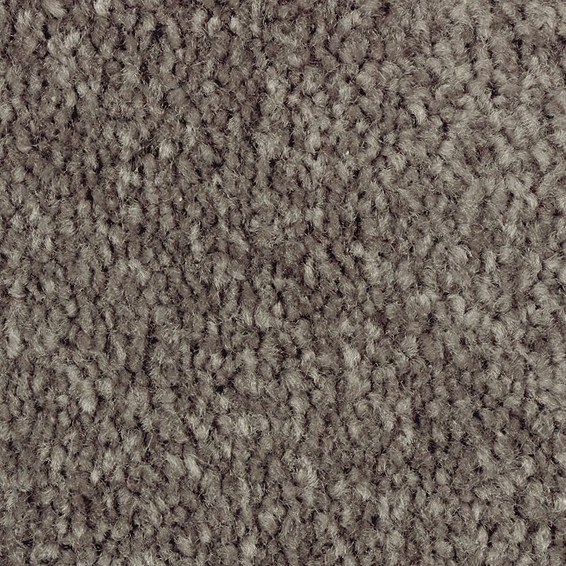 Classical Design Iii Night Phantom Triexta Carpet - Textured