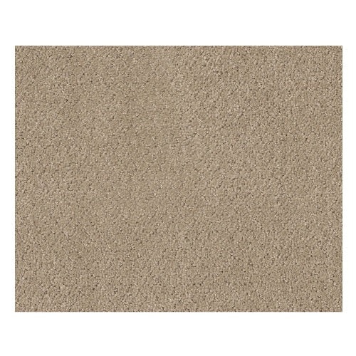 Simply Classic Sea Shell Polyester Carpet - Loop