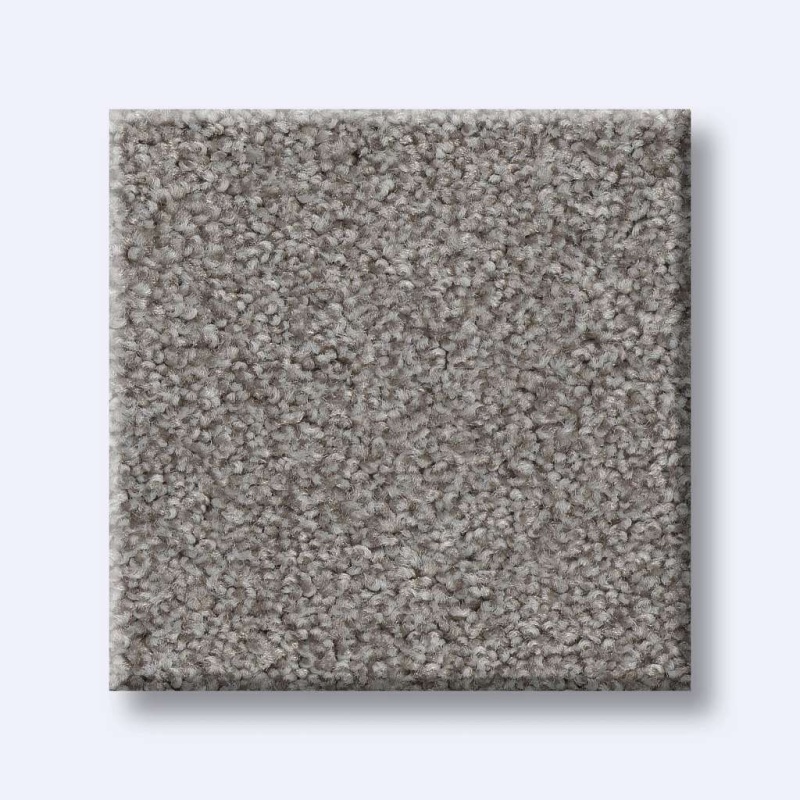Foundations Harmonious Iii Grey Fox Nylon Carpet - Textured