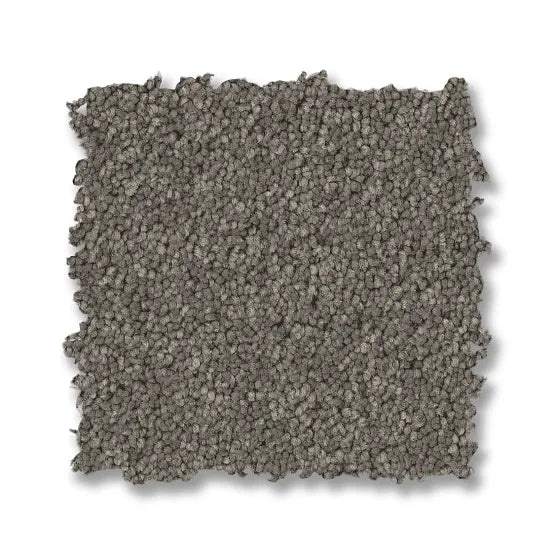Enchanting Lunar Rock Nylon Carpet - Textured
