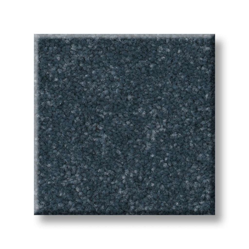 Pet Perfect Hard At Play Iii 15' Refined Polyester Carpet - Textured