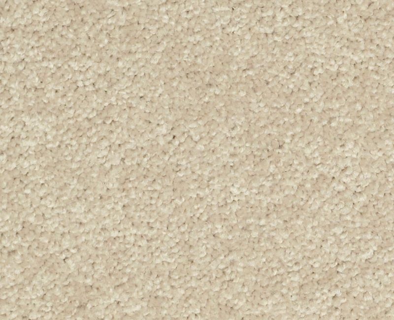 Main Stay 12' Agate Polyester Carpet - Textured