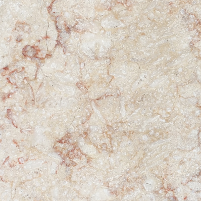 Dario Vero Limestone Paver - Unfilled & Honed - 6" X 12"