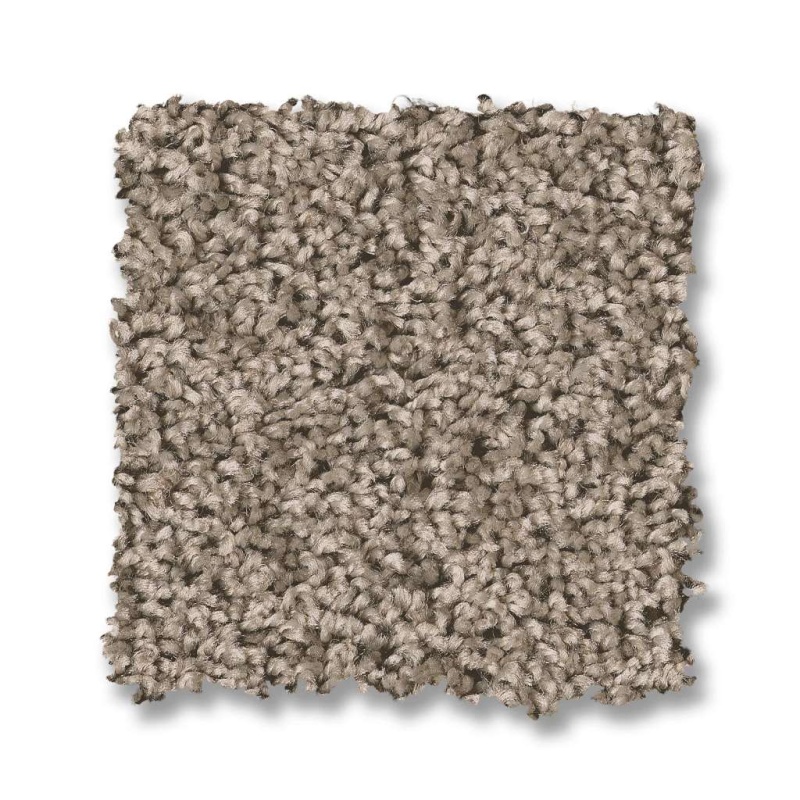Shake It Up (S) Forever Pewter Polyester Carpet - Textured