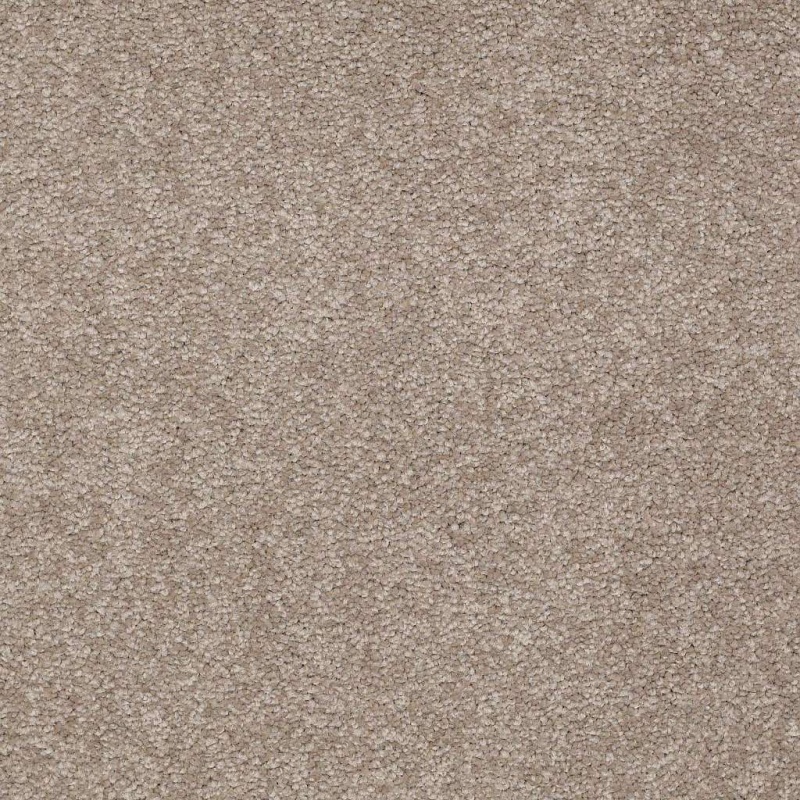 Couture' Collection Ultimate Expression 12' Chinchilla Nylon Carpet - Textured