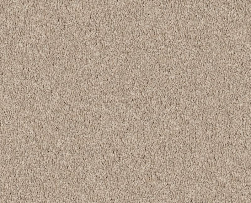 Nantucket Summer 12' Taupe Polyester Carpet - Textured