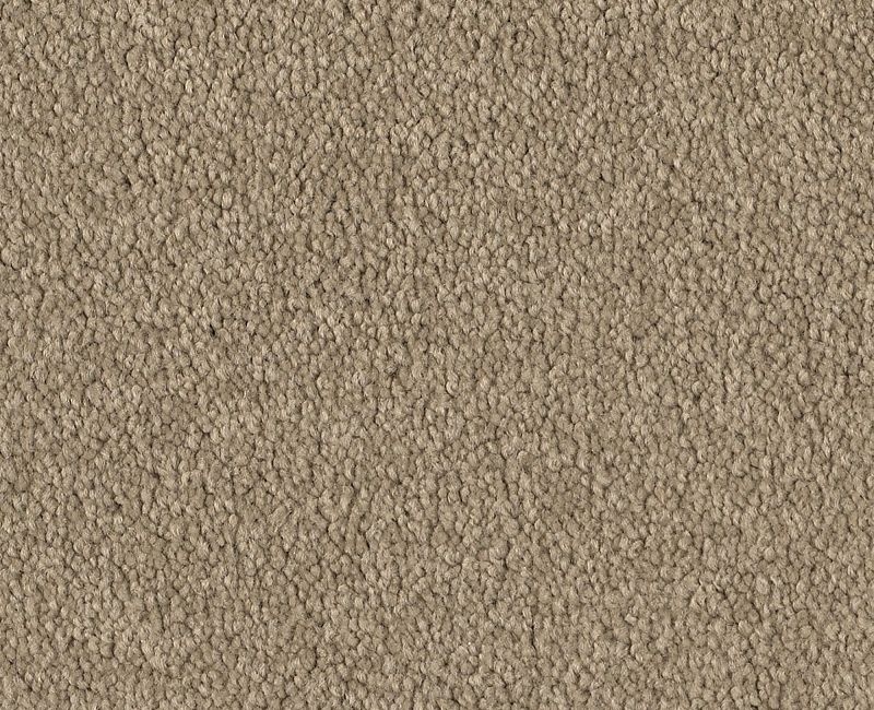 Endura Ii 12' Soft Shadow Nylon Carpet - Pattern