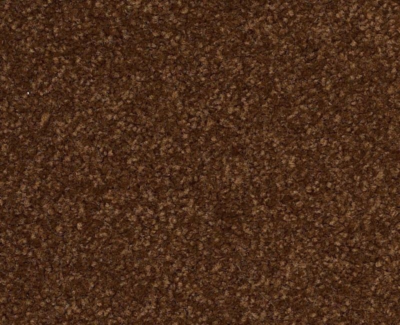 Magic Happens Pv Iii Cocoa Nylon Carpet - Textured