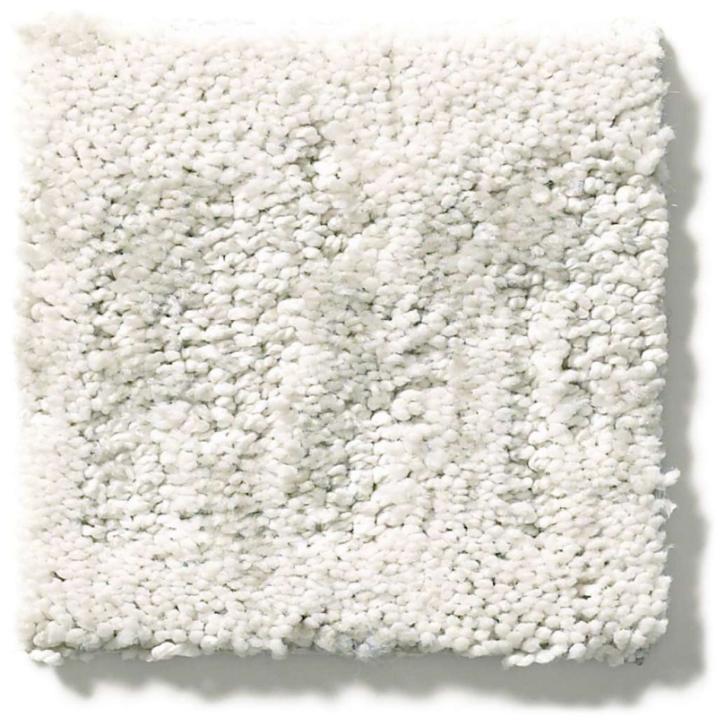 Caress By Shaw Resort Chic Atmospheric Nylon Carpet Pattern