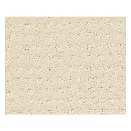 Warming Pattern China Pearl Nylon Carpet - Pattern