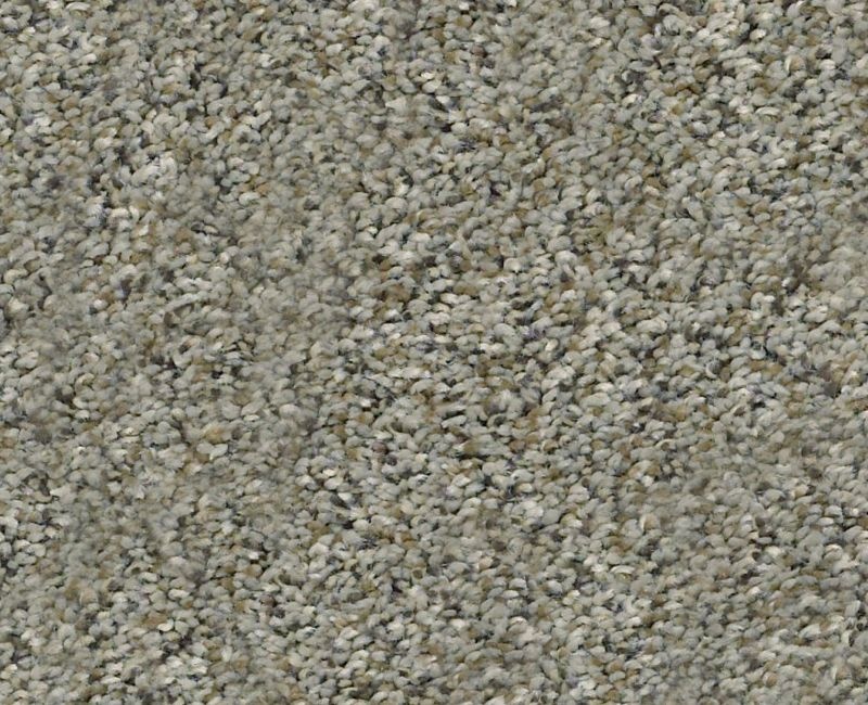 Marks The Spot Ii Beach Walk Polyester Carpet - Textured