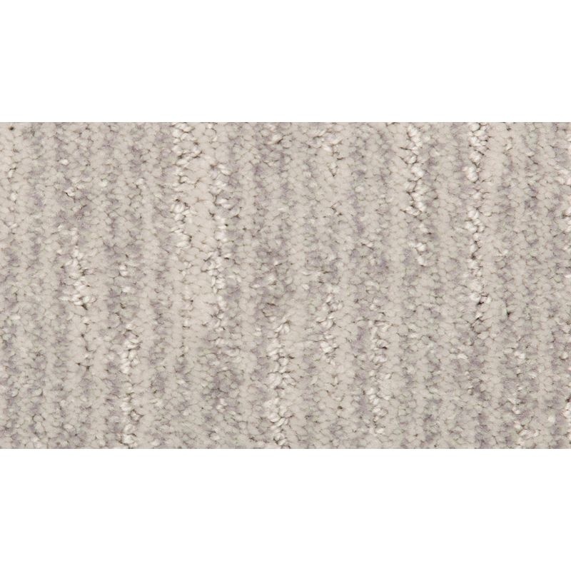 Sculptured Touch Ii Coin Polyester Carpet