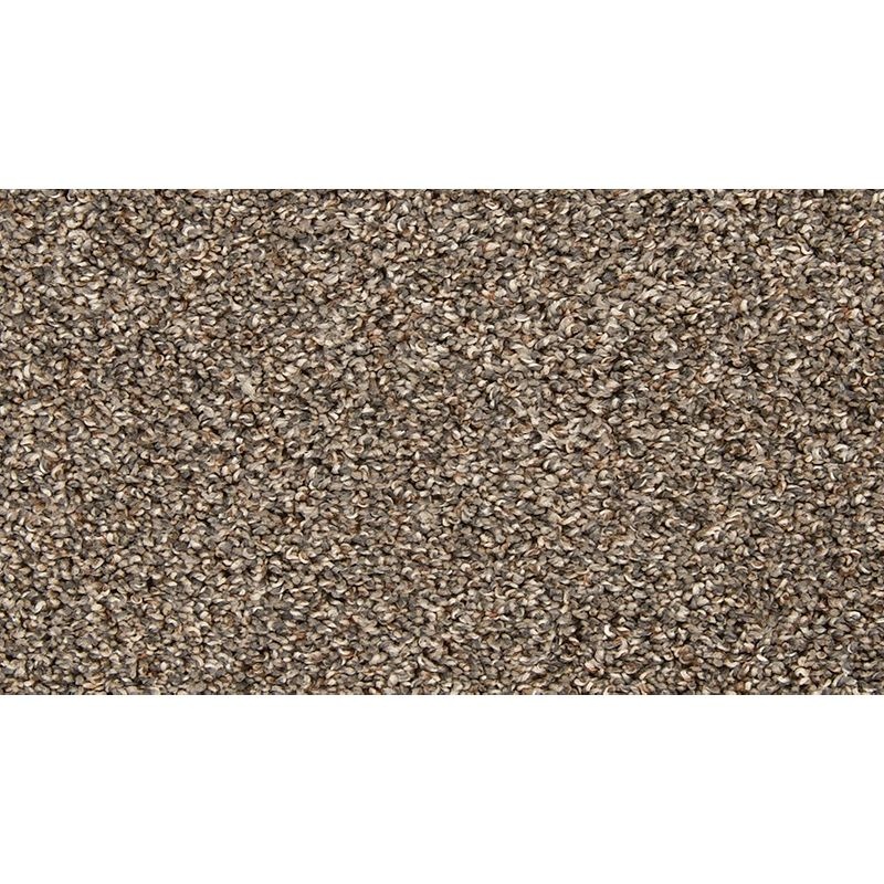 Color Classics Ii Gravity Polyester Carpet - Textured