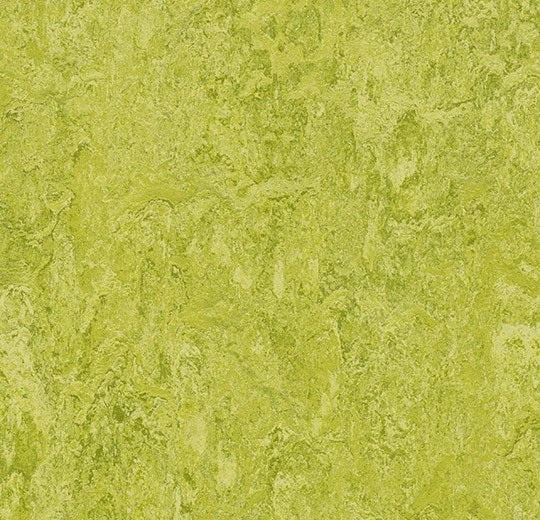 Marmoleum Composition Sheet MCS Chartreuse Linoleum