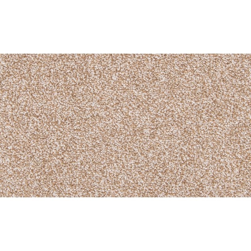 Dynamic Quality I Walnut Sage Polyester Carpet - Textured